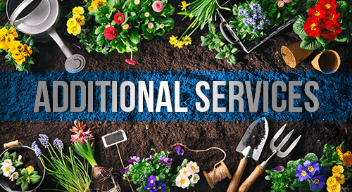 Additional Services